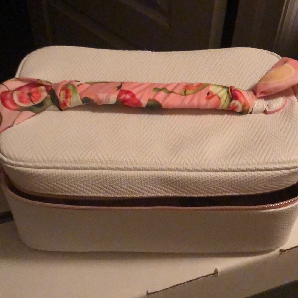 Train case style zipper bag nwot